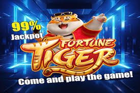 kingjl sports and casino gaming platform Philippines overview